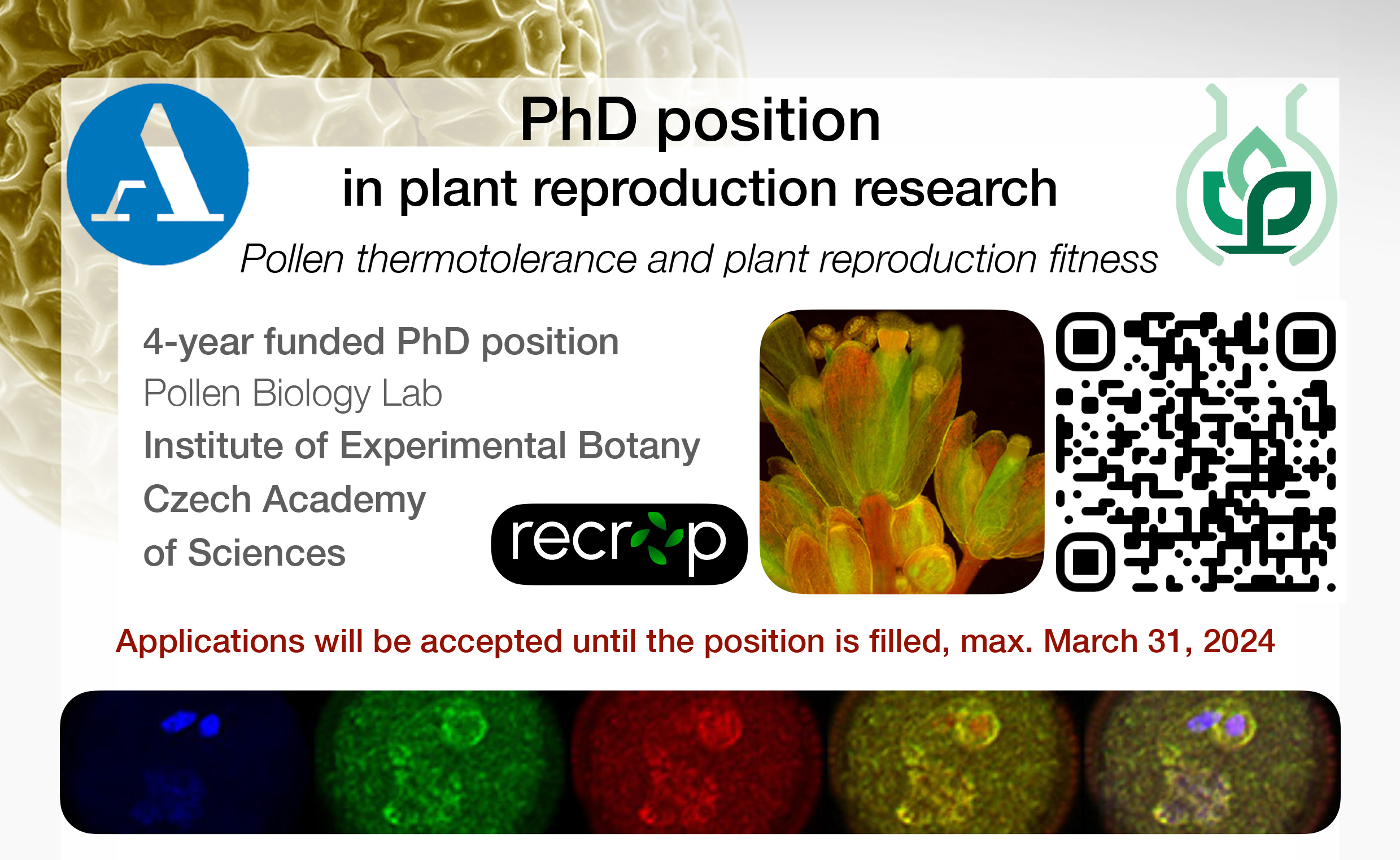 PhD_2024_MINI